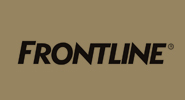 Frontline-Ravenna