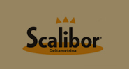 Scalibor-Ravenna